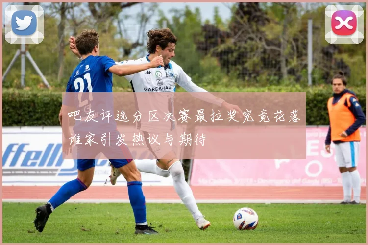 吧友评选分区决赛最拉奖究竟花落谁家引发热议与期待