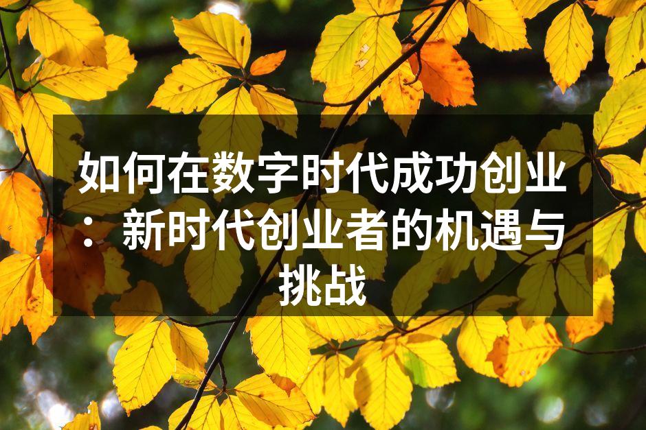 如何在数字时代成功创业：新时代创业者的机遇与挑战